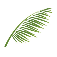 Sketch of a tree leaf icon Vector illustration