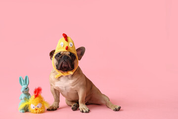 Cute French bulldog in chick hat and toy bunny on pink background. Easter celebration