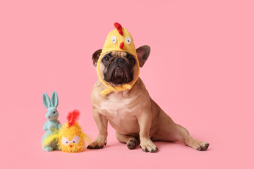 Cute French bulldog in chick hat and toy bunny on pink background. Easter celebration