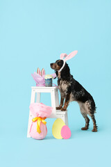 Cute cocker spaniel in bunny ears with Easter eggs and gift egg on blue background