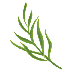 Sketch of a tree leaf icon Vector illustration