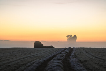 Landscape on the way to infinity with tree in silhouette merging with the fog and the sky at dawn