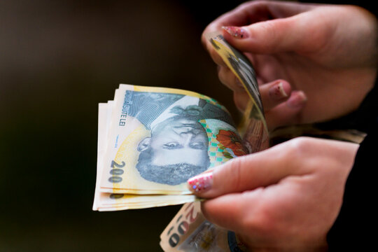 LEI money banknotes, detail photo of RON