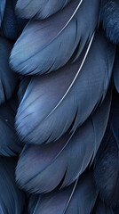 Obraz premium background of black and blue feathers, bird, magpie, crow, banner, space for text, abstract pattern, nature, plumage, animals, wing, flight, wallpaper, illustration, art, ornithology, fashion