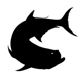 Tarpon big fish under water silhouette. Atlantic Tarpon. Realistic illustration on the background of the deep sea PNG. - 752619430