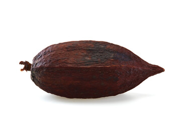 cocoa pod isolated on white