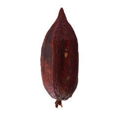 cocoa pod isolated on white