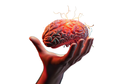 human brain with hands