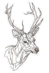 One continuous line drawing, a young deer was walking looking for something.