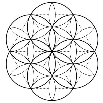 Flower of Life Illustration, Mandala Pattern, Sacred Geometry Clipart