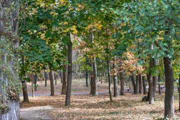Naklejka premium Autumn view of South Park in city of Sofia, Bulgaria