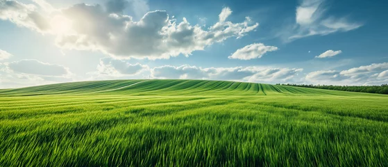 Foto op Plexiglas Wide angle of a rural landscape. Vivid green field and blue sky panorama. Generative AI. © Brastock Images / AI