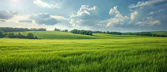 Foto op Plexiglas Wide angle of a rural landscape. Vivid green field and blue sky panorama. Generative AI. © Brastock Images / AI