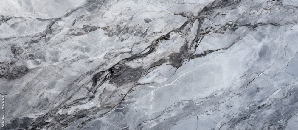 Poster a detailed view of a black and white marble textured background, showcasing intricate patterns and s