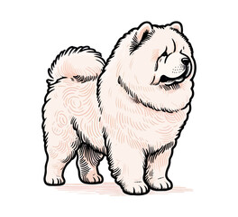 chow chow dog hand drawn vector illustration