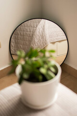 Espejo redondo de decoración reflejando una planta dentro de una habitación de departamento