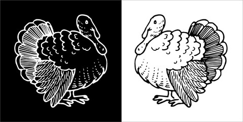 Illustration vector graphics of Zooland icon