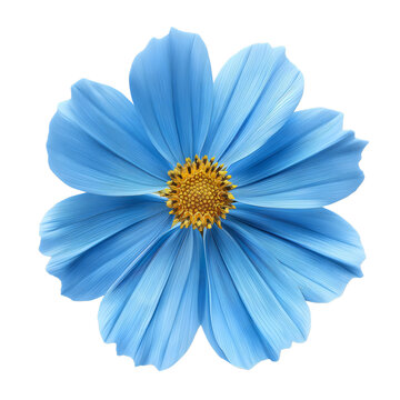 Blue cosmos flower isolated on transparent background generative ai