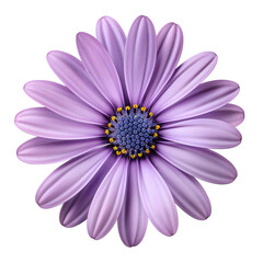 Obraz premium purple Daisy isolated on transparent background generative ai