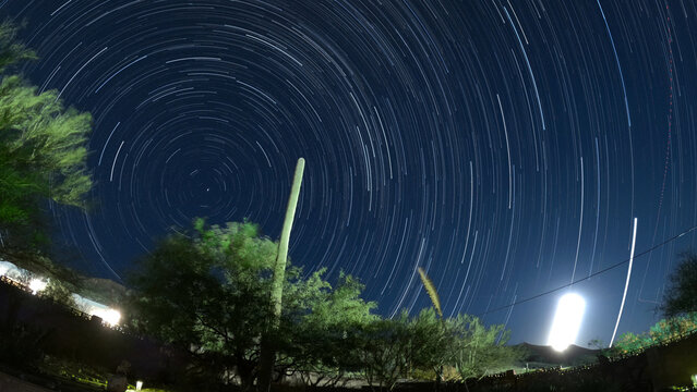 Star trails in night sky with saguaro cacti - time exposure