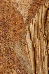 wooden texture. Top view of vintage wooden table