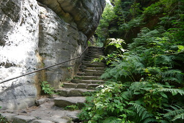 Treppe auf dem Pfaffenstein in der Sächsischen Schweiz