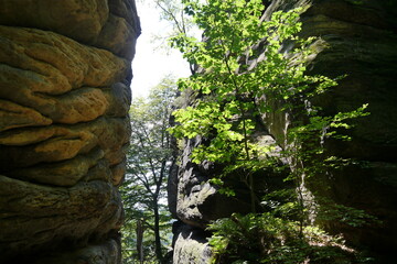 Felsspalt und Schlucht auf dem Pfaffenstein in der Sächsischen Schweiz