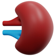 spleen 3d render icon illustration