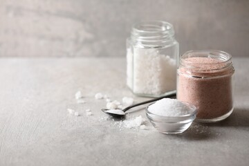 Different natural salt on grey textured table, space for text