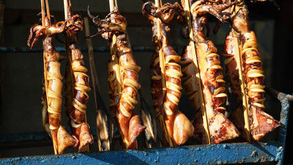 smoked squid food. Smoked fish or fish that is preserved by smoking, smoked fish food. Smoked fish...