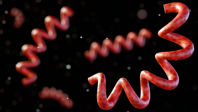 3d rendering of Treponema pallidum, the bacteria that cause syphilis