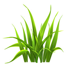 Grass Vector Illustration Green Leaf Element Isolated With PNG Image Vector Illustration