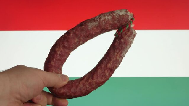 Hand Holding Traditional Salami Against Hungarian Tri-color Background