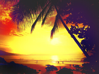 Blurred breathtaking sunset scenery. Coconut palm tree under orange sky. Vintage background. Travel...