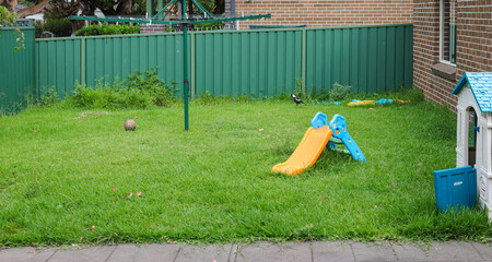 Magpie bird walking amongst toys spread all over a suburban Sydney backyard NSW Australia