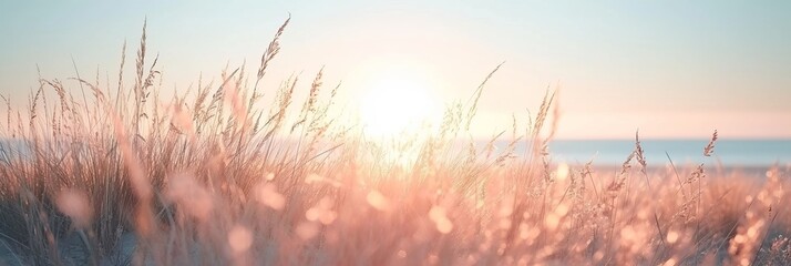 Serene summer beachscape with sand dunes, beige plants, and ethereal sunlight bokeh