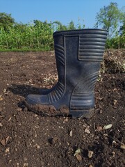 A pair of sleek black gumboots protrudes from the earth, beckoning with an air of mystery and...