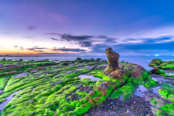 Landscape of rocky beach at sunrise with moss and pebbles on Co Thach beach, a famous beach in Binh...