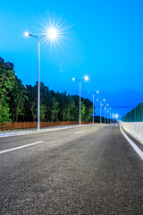 Asphalt road and street lights with green forest landscape at night