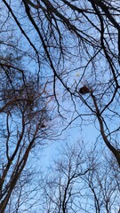 an airplane flying through a new house on a tree