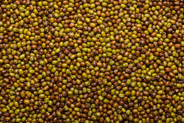 Mung bean seeds, an ingredient for making vegetarian and healthy food. Close-up image of food background texture