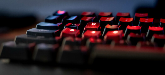 LED WASD Mechanical Keyboard