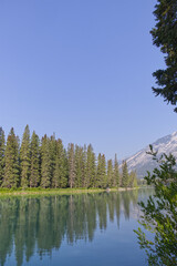 Summer Morning at the Bow River