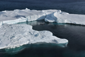 Icebergs in the arctic ocean, Antarctic Peninsula, Antarctica