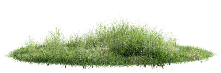 Green grass on transparent background 3d rendering png