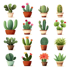 Set of various indoor cacti and succulent plants in pots, on white background, solid stark white background.[A-0001]