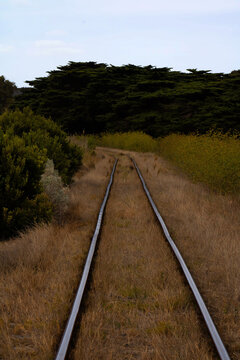 train tracks