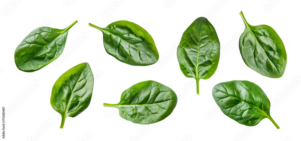 Wall mural spinach leaves isolate on white background. healthy food. top view. - Wall murals