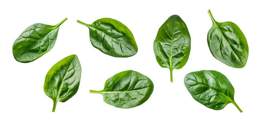 spinach leaves isolate on white background. Healthy food. Top view. - obrazy, fototapety, plakaty