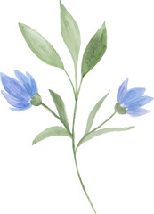 Fototapeta na wymiar Watercolor blue flowers